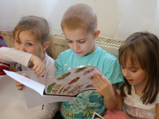 Zöld értékek az Aranyalma tagóvodában - fotó: 