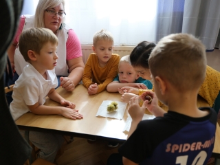 Zöld értékek az Aranyalma tagóvodában - fotó: 