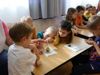 Zöld értékek az Aranyalma tagóvodában - fotó: 