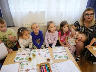 Zöld értékek az Aranyalma tagóvodában - fotó: 