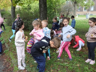 Zöld értékek az Aranyalma tagóvodában - fotó: 