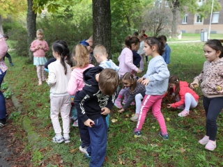 Zöld értékek az Aranyalma tagóvodában - fotó: 