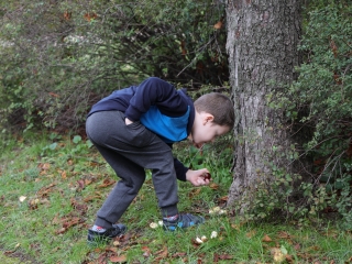 Zöld értékek az Aranyalma tagóvodában - fotó: 