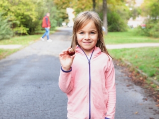 Zöld értékek az Aranyalma tagóvodában - fotó: 
