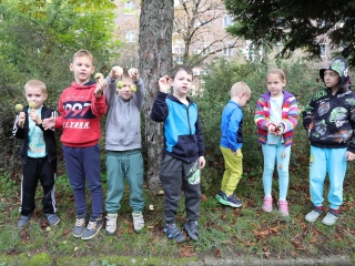 Zöld értékek az Aranyalma tagóvodában - fotó: 