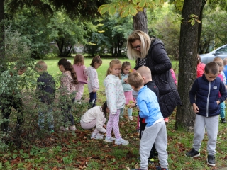 Zöld értékek az Aranyalma tagóvodában - fotó: 