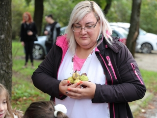 Zöld értékek az Aranyalma tagóvodában - fotó: 