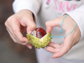 Zöld értékek az Aranyalma tagóvodában - fotó: 