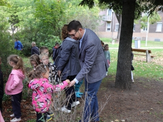 Zöld értékek az Aranyalma tagóvodában - fotó: 