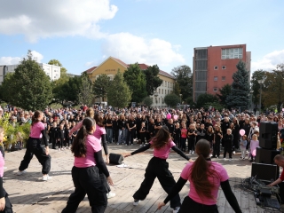 A közösség erejével a mellrák ellen - fotó: 