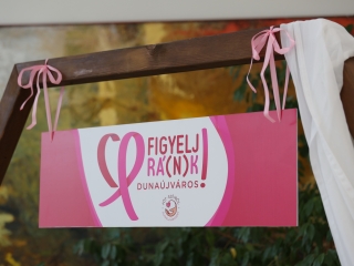 A közösség erejével a mellrák ellen - fotó: 