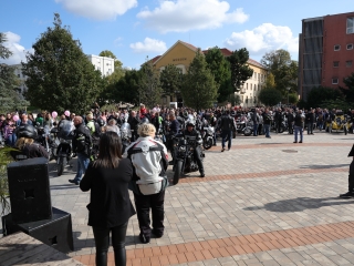 A közösség erejével a mellrák ellen - fotó: 