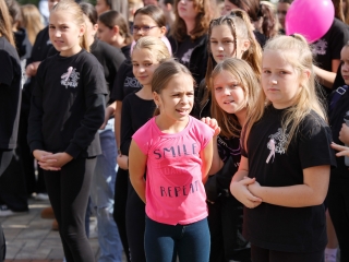 A közösség erejével a mellrák ellen - fotó: 