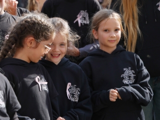 A közösség erejével a mellrák ellen - fotó: 