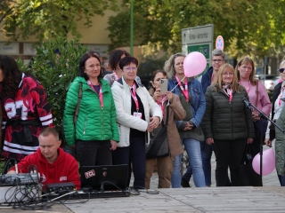 A közösség erejével a mellrák ellen - fotó: 