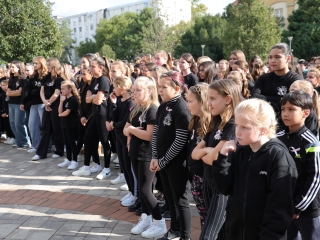 A közösség erejével a mellrák ellen - fotó: 