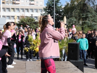 A közösség erejével a mellrák ellen - fotó: 