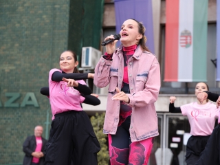 A közösség erejével a mellrák ellen - fotó: 