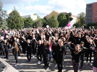 A közösség erejével a mellrák ellen - fotó: 