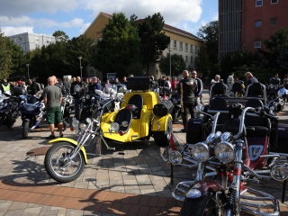 A közösség erejével a mellrák ellen - fotó: 