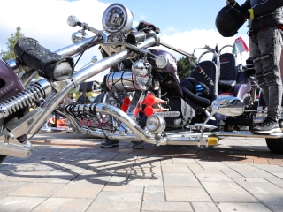 A közösség erejével a mellrák ellen - fotó: 