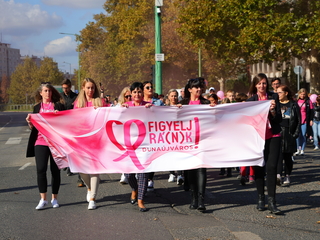 A közösség erejével a mellrák ellen - fotó: 