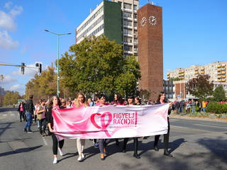 A közösség erejével a mellrák ellen - fotó: 