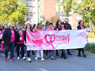 A közösség erejével a mellrák ellen - fotó: 