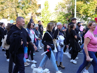 A közösség erejével a mellrák ellen - fotó: 