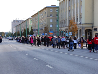 A közösség erejével a mellrák ellen - fotó: 