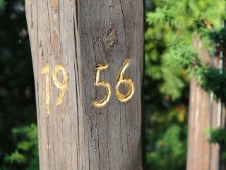 Megemlékezés és díjátadó 1956 ünnepén - fotó: 