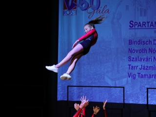 Ünnepi Rosti-gála a Bartókban - fotó: 