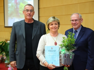 Virágos Dunaújvárosért (2024) - fotó: 