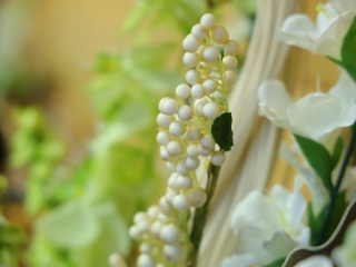 Virágos Dunaújvárosért (2024) - fotó: 