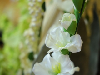 Virágos Dunaújvárosért (2024) - fotó: 