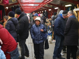 Kincsvadászat az évzáró bolhapiacon - fotó: 