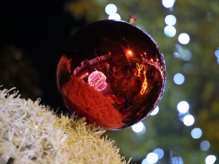 Advent első vasárnapja a Városháza téren (2024) - fotó: 