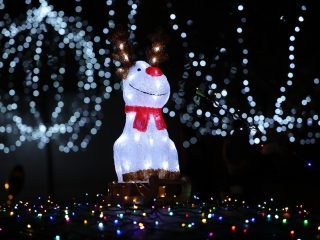 Advent első vasárnapja a Városháza téren (2024) - fotó: 