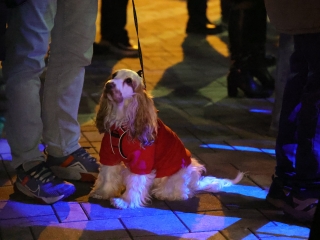 Már az öröm gyertyája is ragyog (galéria) - fotó: 