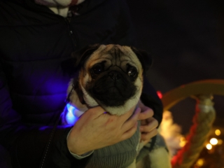 Már az öröm gyertyája is ragyog (galéria) - fotó: 