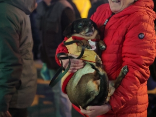 Már az öröm gyertyája is ragyog (galéria) - fotó: 