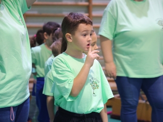 Kenguru Kupa a Vasváriban - fotó: 