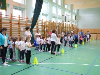 Kenguru Kupa a Vasváriban - fotó: 