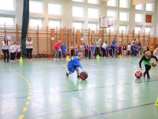 Kenguru Kupa a Vasváriban - fotó: 