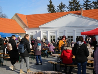 Sülve, főve, együtt – pillanatképek a kolbászfesztiválról - fotó: 