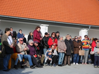 Sülve, főve, együtt – pillanatképek a kolbászfesztiválról - fotó: 