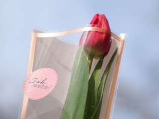 Nőnapi virág- és eseményözön - fotó: 