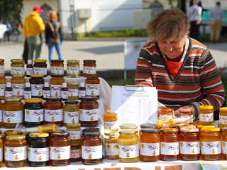 Pentelei Bornapok – idén először, de biztosan nem utoljára! - fotó: 