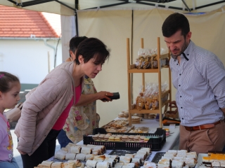 Pentelei Bornapok – idén először, de biztosan nem utoljára! - fotó: 