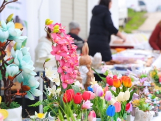 Pentelei Bornapok – idén először, de biztosan nem utoljára! - fotó: 